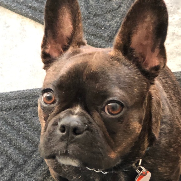 Meet your Posher, Jan - Picture 1 of 1